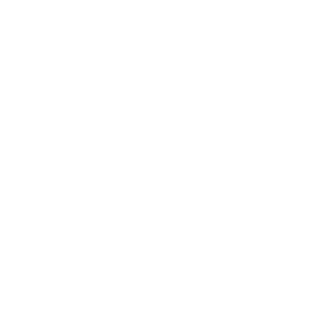 Sustainable practices leaf icon